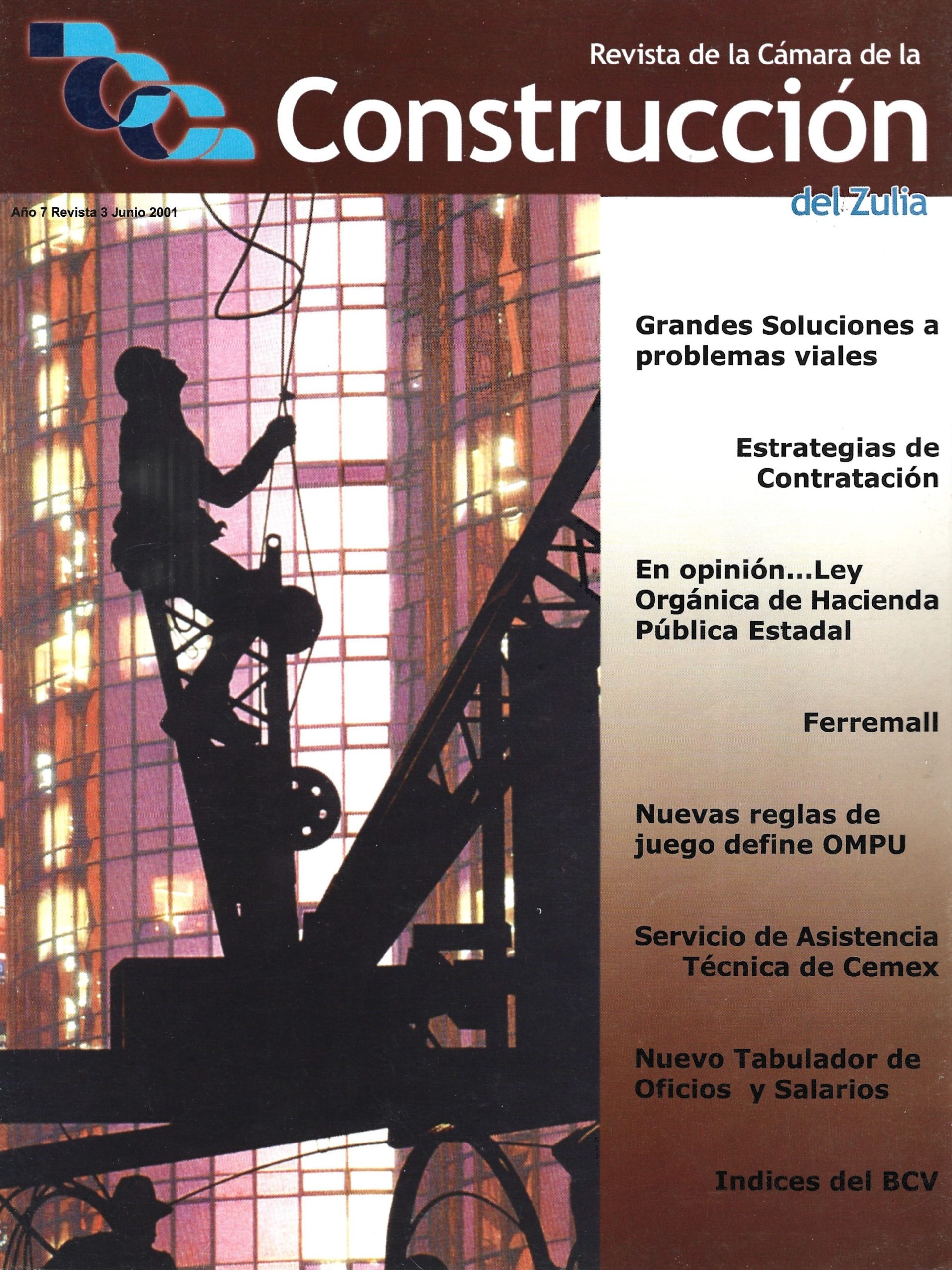 revista 3 junio 2001